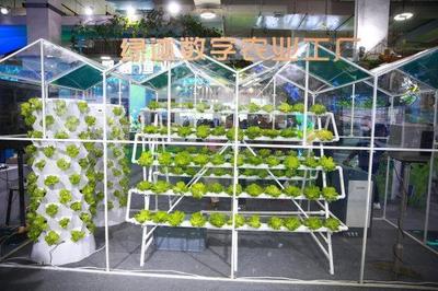 新主體、新技術、新產(chǎn)品 從今年農(nóng)博會看&ldquo;浙&rdquo;有新能力