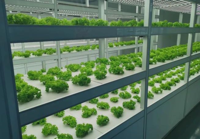 【智慧農業】智慧農業八大應用場景